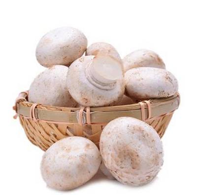 食用菌挂面的制作方法