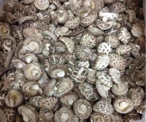 年底冬季臻味山货花菇上架 特选大花菇98元 斤省内包邮,花菇厚身 爽滑,冬季煲汤入菜均可,送礼佳品