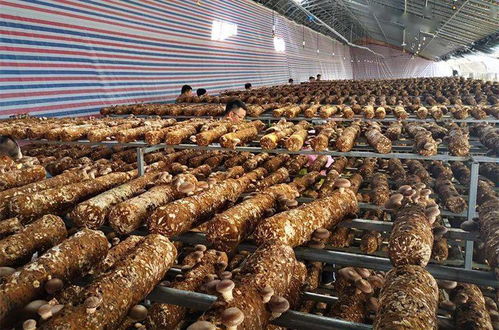 宝坻区党政代表团赴东西部扶贫协作地区考察对接