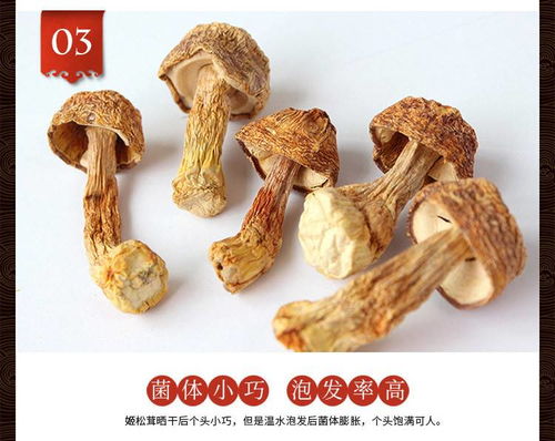 禾煜 姬松茸50g 姬松菇 特产山珍 南北干货 煲汤食用菌 火锅食材