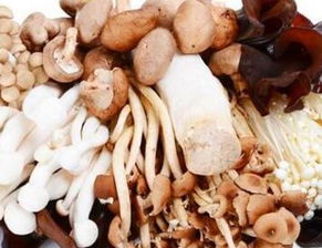 加盟食用菌费用多少