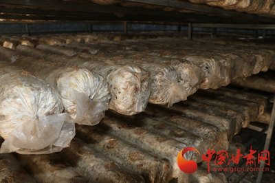 【强信心 看发展】天祝:特色产业助推乡村振兴"加速跑"