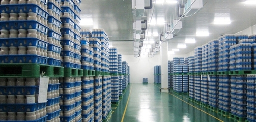 【丽水山耕·莲宝】百兴菇业 魔幻真菌王国