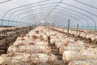 湖北日报点赞 转型升级日产值100万元,这家农企叫座海外市场