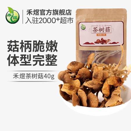 禾煜 福建古田茶树菇40g 蘑菇菌菇食用菌 山珍南北干货 福建古田特产