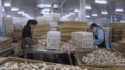 甘州企业蓄势待发 冲刺一季度“开门红”