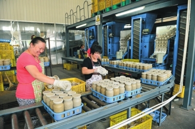 北京通州:蘑菇种植户均年收入5万元以上_致富经_新浪财经_新浪网