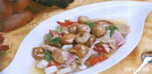 野菌飘香 松茸与鸡枞的做法全解析，你最爱哪一种？