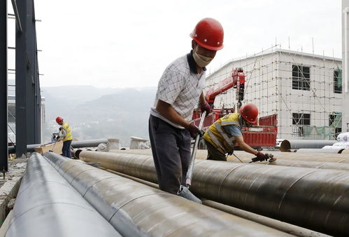 道真食用菌农业现代化产业园一期即将投产，助力食用菌产业高质量发展