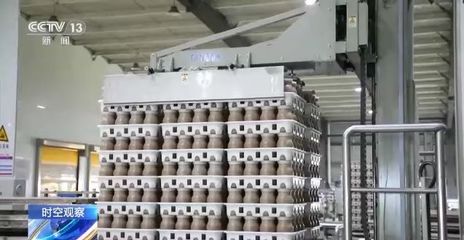 2023乡村振兴如何开局？现代农业产业园助力食用菌产业尽显'科技范'