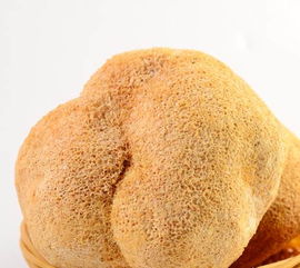 古田猴头菇 来自菌菇之乡的养胃佳品